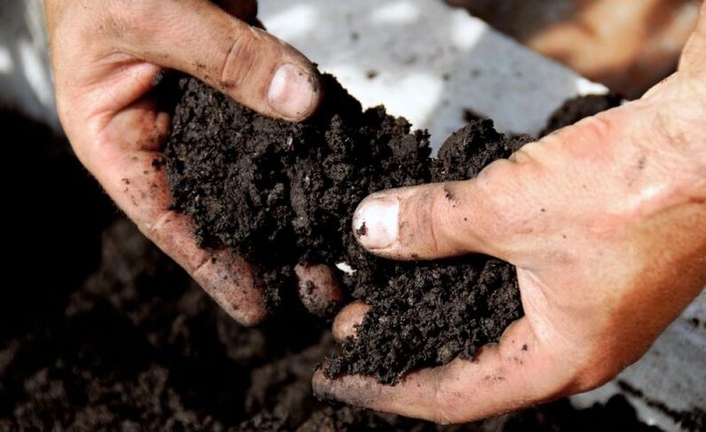 работа с почвата като път за заразяване с червеи